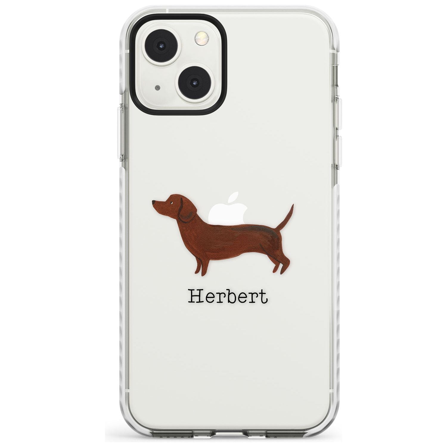 Personalised Hand Painted Sausage Dog