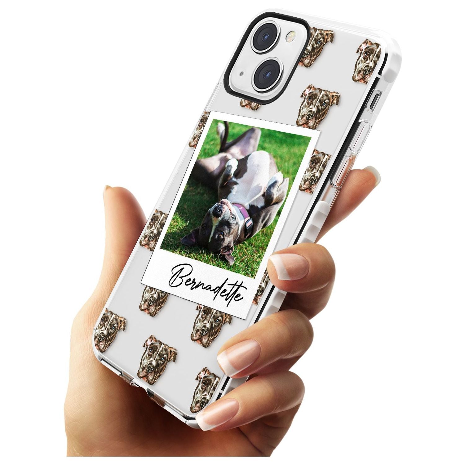 Personalised Staffordshire Bull Terrier - Dog Photo