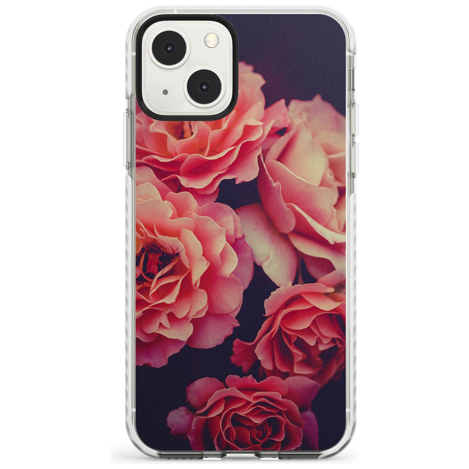 Midnight Rose Bloom