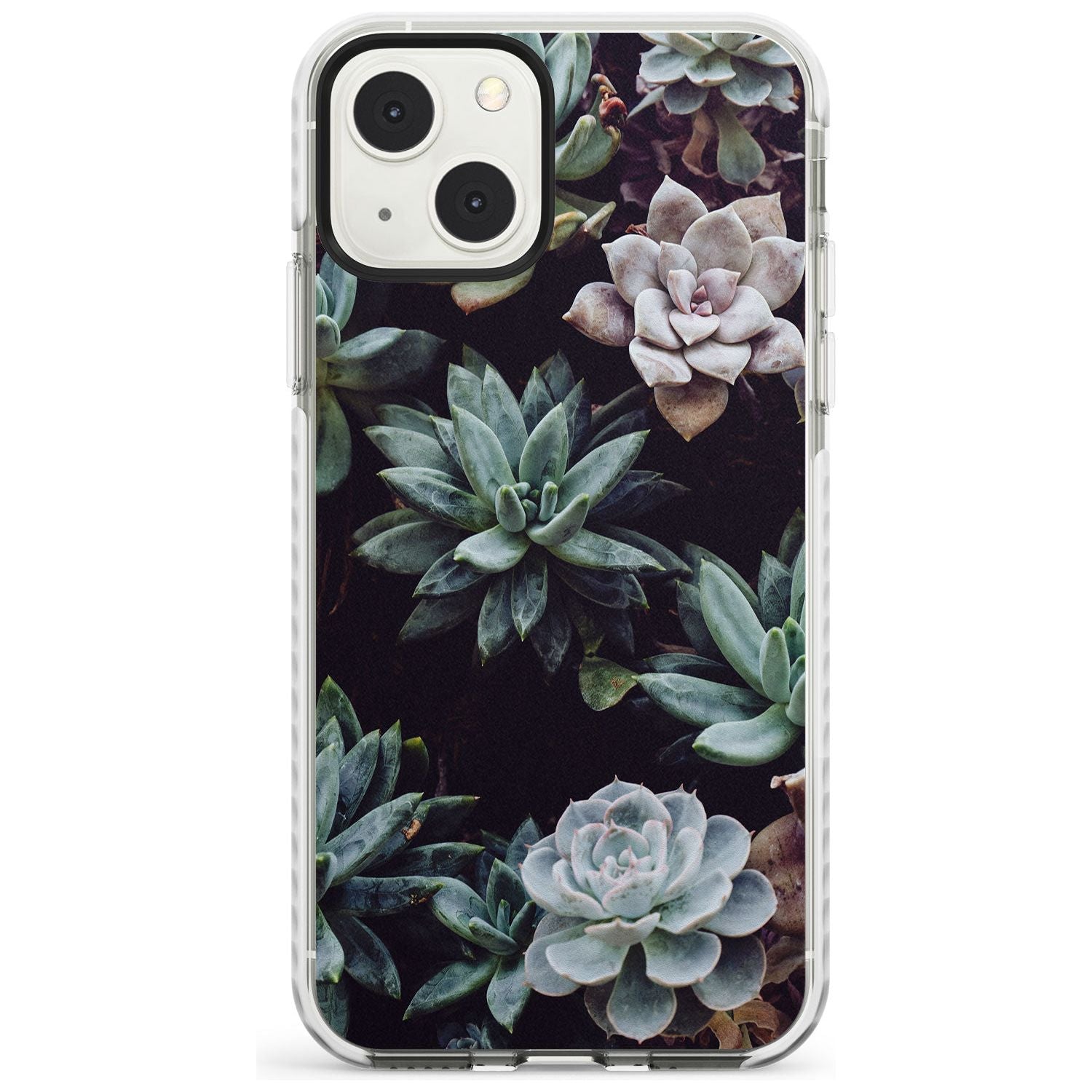 Mixed Succulents - Real Botanical Photographs Phone Case iPhone 13 Mini / Impact Case Blanc Space