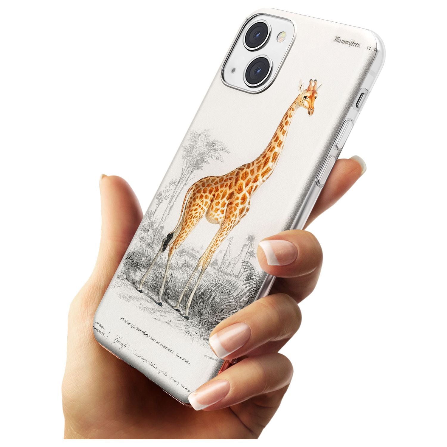 Vintage Girafe Art Slim Phone Case for iPhone 13 & 13 Mini