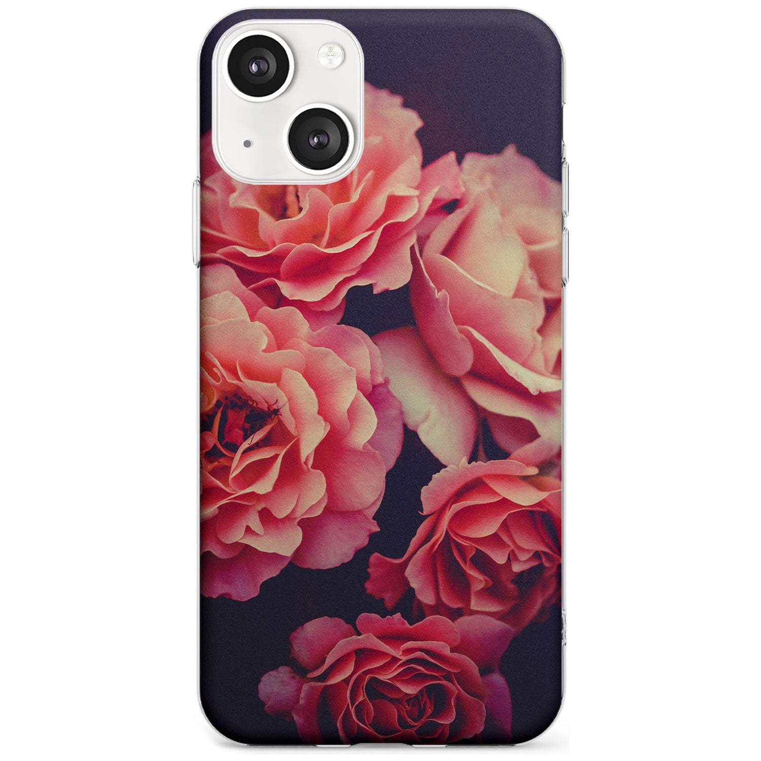 Midnight Rose Bloom
