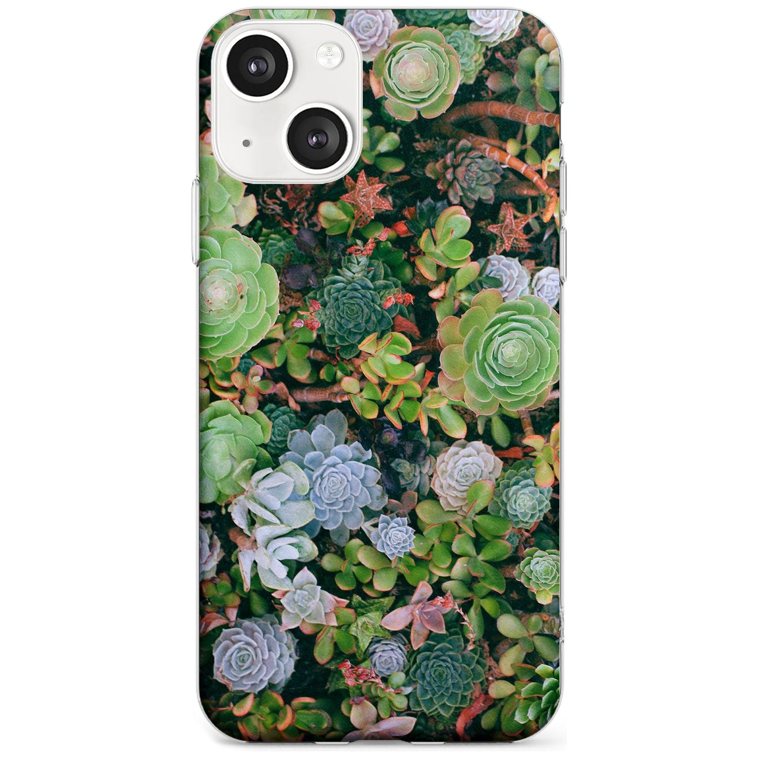 Colourful Succulents Phone Case iPhone 13 / Clear Case,iPhone 13 Mini / Clear Case,iPhone 14 / Clear Case,iPhone 14 Plus / Clear Case Blanc Space