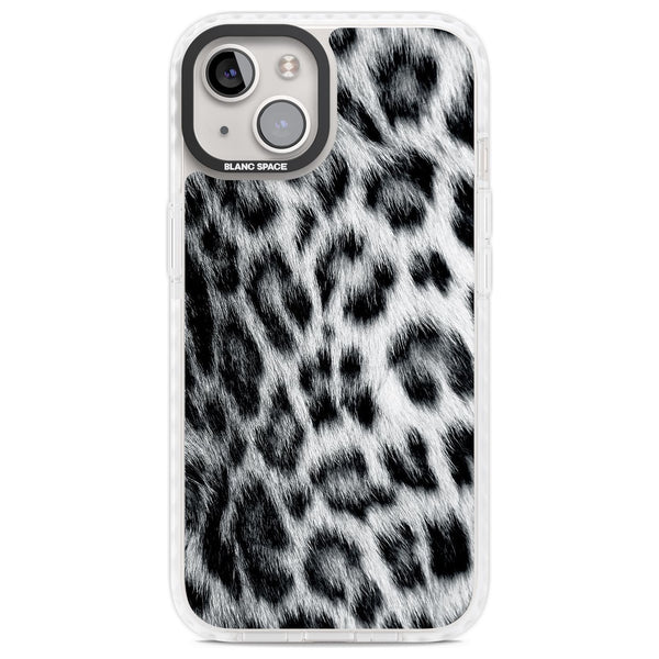 Snow Leopard