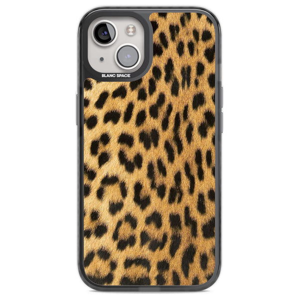 Savannah Leopard
