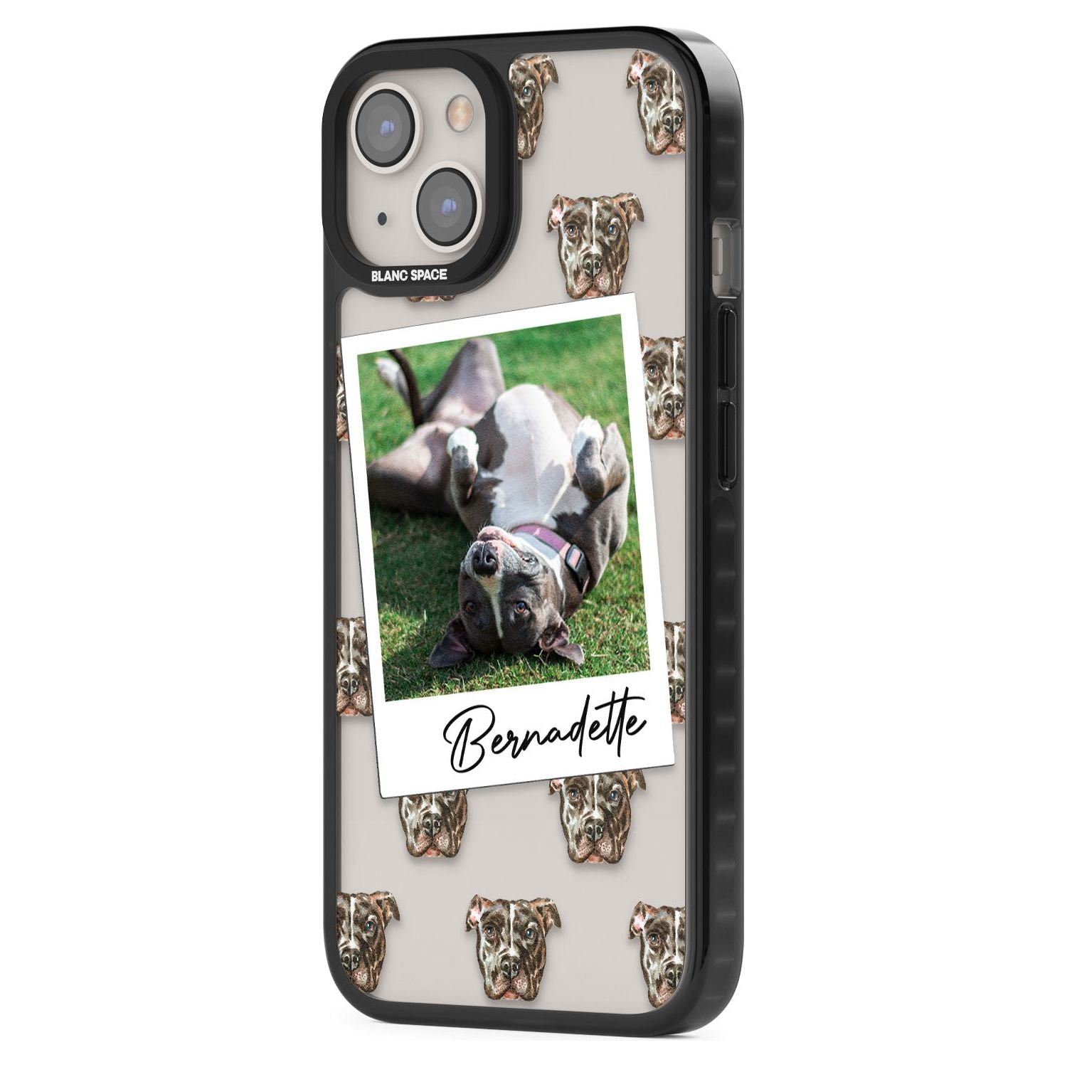 Personalised Staffordshire Bull Terrier - Dog Photo