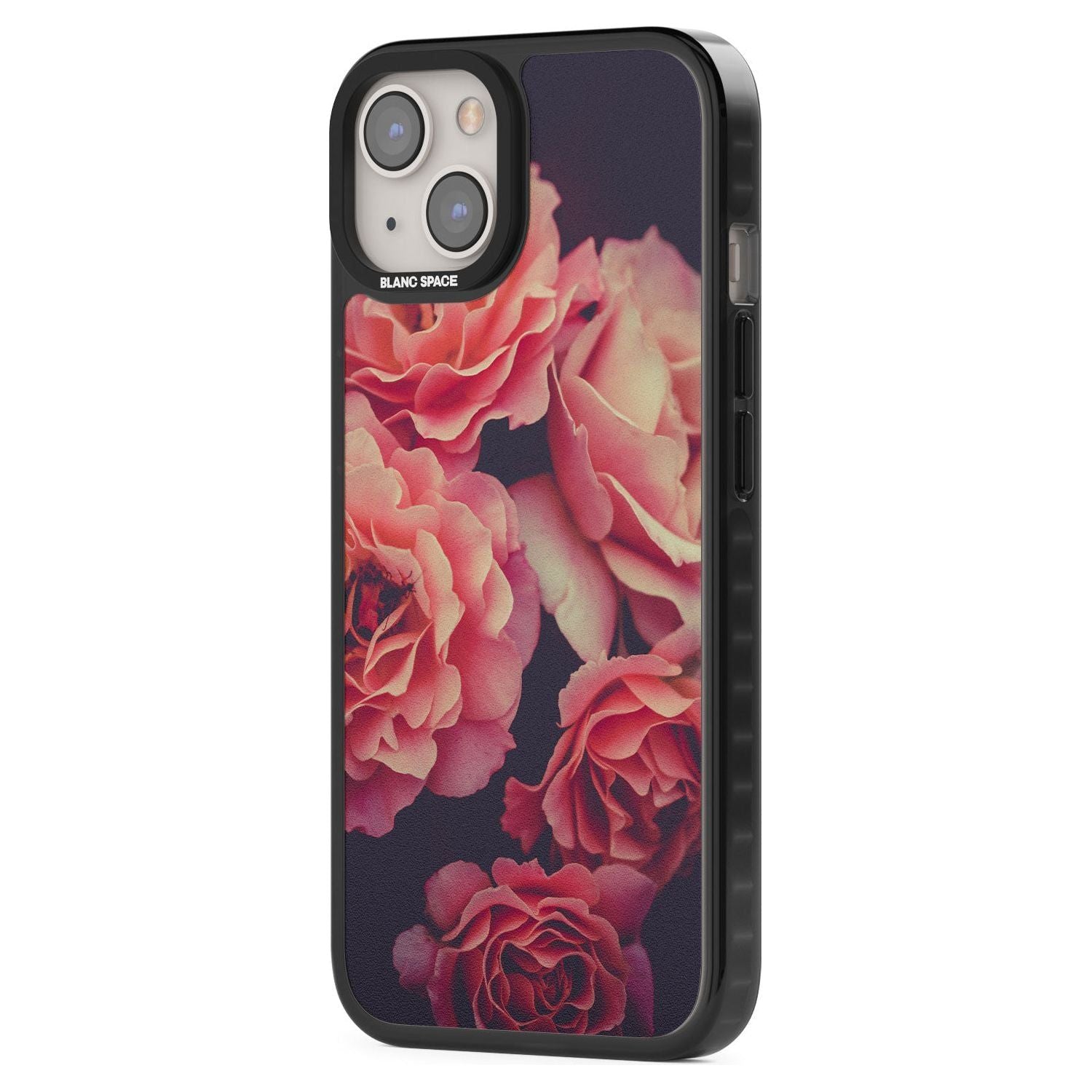 Midnight Rose Bloom