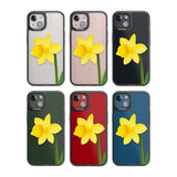 Daffodil Phone Case iPhone 15 Pro Max / Black Impact Case,iPhone 15 Plus / Black Impact Case,iPhone 15 Pro / Black Impact Case,iPhone 15 / Black Impact Case,iPhone 15 Pro Max / Impact Case,iPhone 15 Plus / Impact Case,iPhone 15 Pro / Impact Case,iPhone 15 / Impact Case,iPhone 15 Pro Max / Magsafe Black Impact Case,iPhone 15 Plus / Magsafe Black Impact Case,iPhone 15 Pro / Magsafe Black Impact Case,iPhone 15 / Magsafe Black Impact Case,iPhone 14 Pro Max / Black Impact Case,iPhone 14 Plus / Black Impact Case,