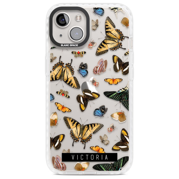 Personalised Butterfly Archive