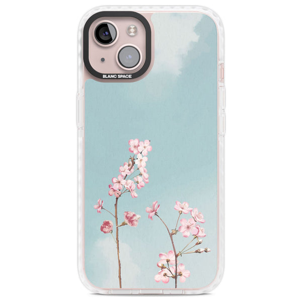 Blossom Flower Sky