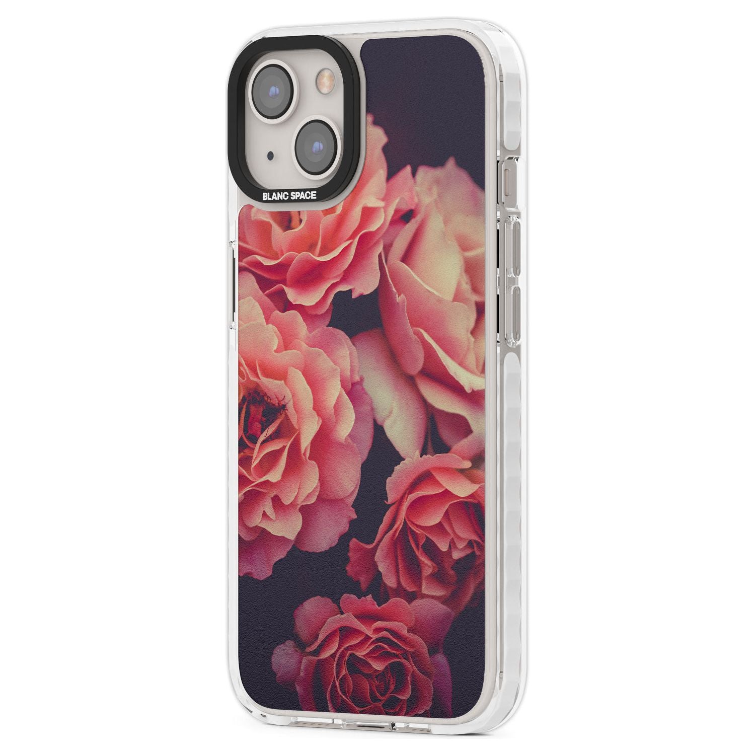 Midnight Rose Bloom