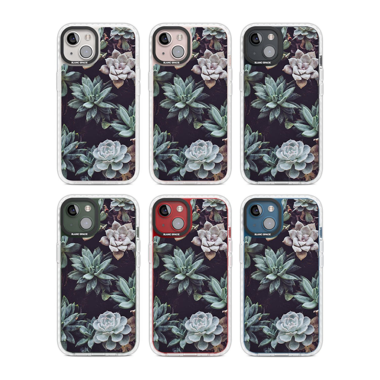 Mixed Succulents - Real Botanical Photographs Phone Case iPhone 15 Pro Max / Black Impact Case,iPhone 15 Plus / Black Impact Case,iPhone 15 Pro / Black Impact Case,iPhone 15 / Black Impact Case,iPhone 15 Pro Max / Impact Case,iPhone 15 Plus / Impact Case,iPhone 15 Pro / Impact Case,iPhone 15 / Impact Case,iPhone 15 Pro Max / Magsafe Black Impact Case,iPhone 15 Plus / Magsafe Black Impact Case,iPhone 15 Pro / Magsafe Black Impact Case,iPhone 15 / Magsafe Black Impact Case,iPhone 14 Pro Max / Black Impact Cas