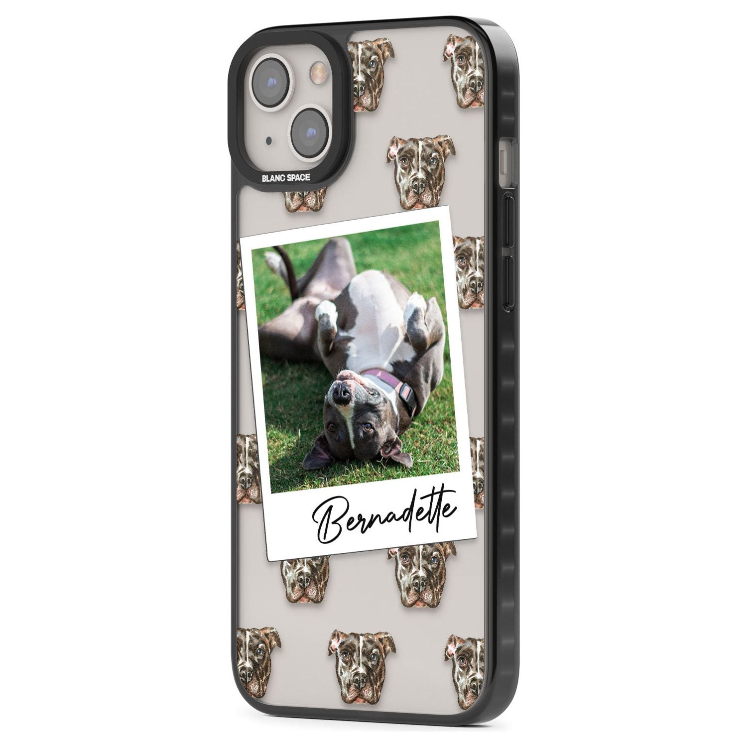 Personalised Staffordshire Bull Terrier - Dog Photo
