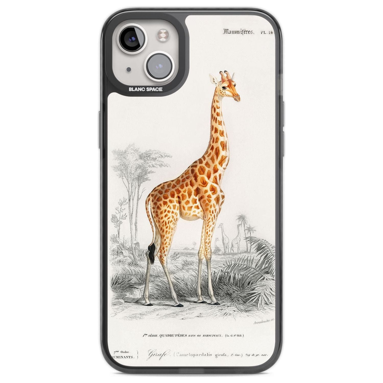 Vintage Giraffe Art