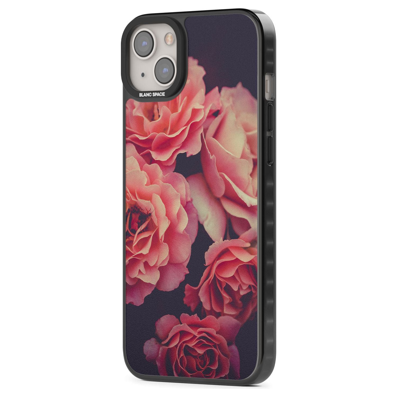 Midnight Rose Bloom