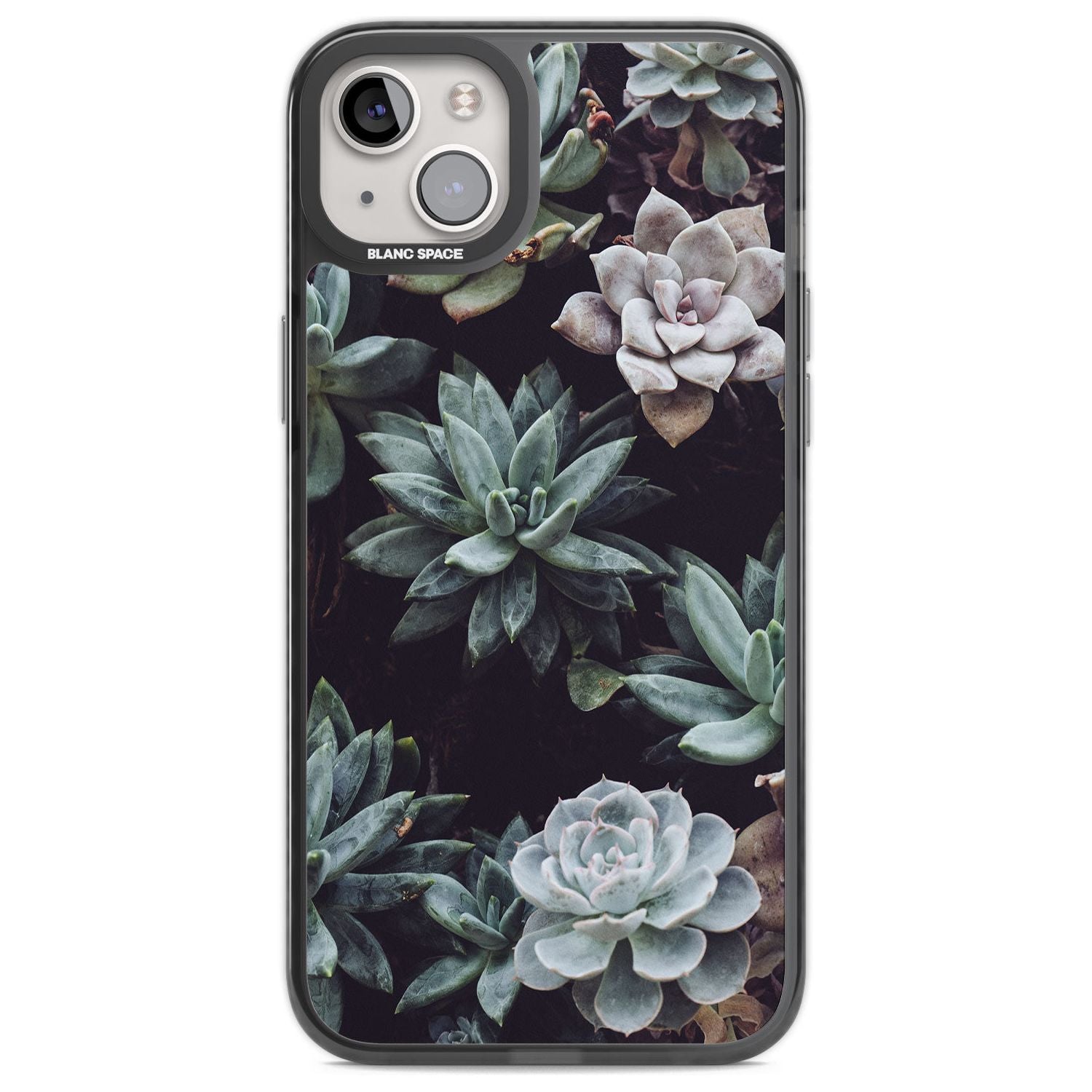 Mixed Succulents - Real Botanical Photographs Phone Case iPhone 14 Plus / Black Impact Case Blanc Space