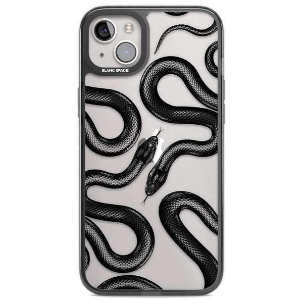 Black Kingsnake