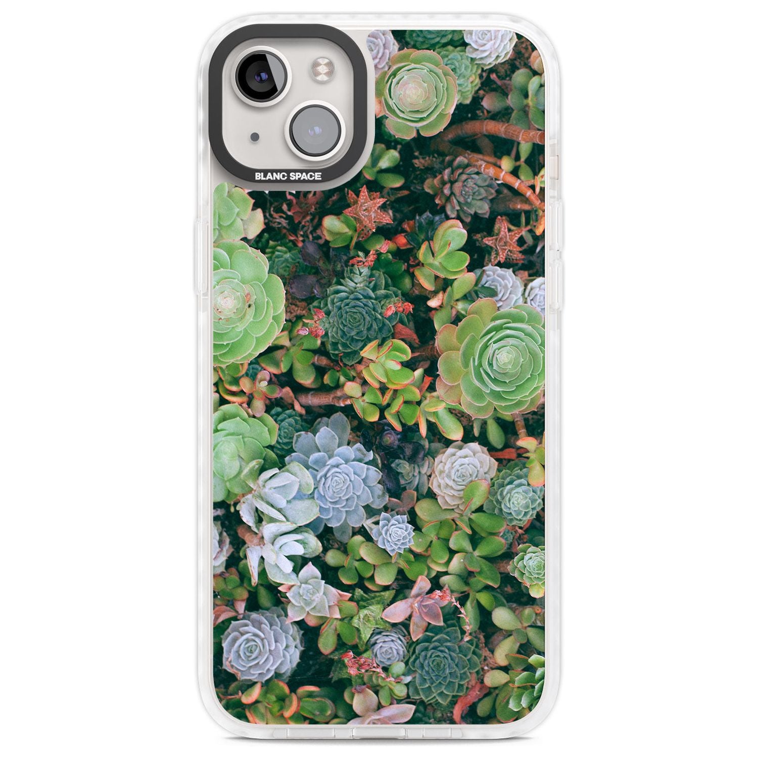 Colourful Succulents Phone Case iPhone 14 Plus / Impact Case Blanc Space
