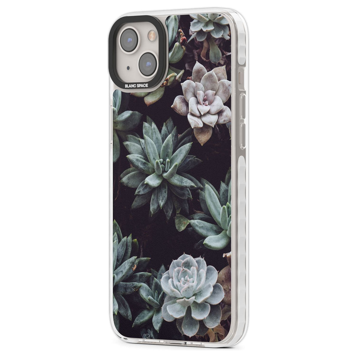 Mixed Succulents - Real Botanical Photographs Phone Case iPhone 15 Pro Max / Black Impact Case,iPhone 15 Plus / Black Impact Case,iPhone 15 Pro / Black Impact Case,iPhone 15 / Black Impact Case,iPhone 15 Pro Max / Impact Case,iPhone 15 Plus / Impact Case,iPhone 15 Pro / Impact Case,iPhone 15 / Impact Case,iPhone 15 Pro Max / Magsafe Black Impact Case,iPhone 15 Plus / Magsafe Black Impact Case,iPhone 15 Pro / Magsafe Black Impact Case,iPhone 15 / Magsafe Black Impact Case,iPhone 14 Pro Max / Black Impact Cas