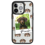 Personalised Dachshund, Brown - Dog Photo Custom Phone Case iPhone 13 Pro / Black Impact Case,iPhone 14 Pro / Black Impact Case,iPhone 15 Pro Max / Black Impact Case,iPhone 15 Pro / Black Impact Case Blanc Space