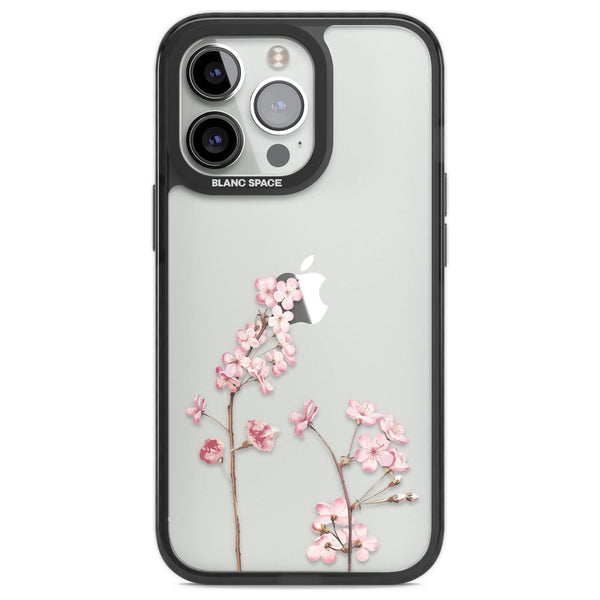 Blossom Flower