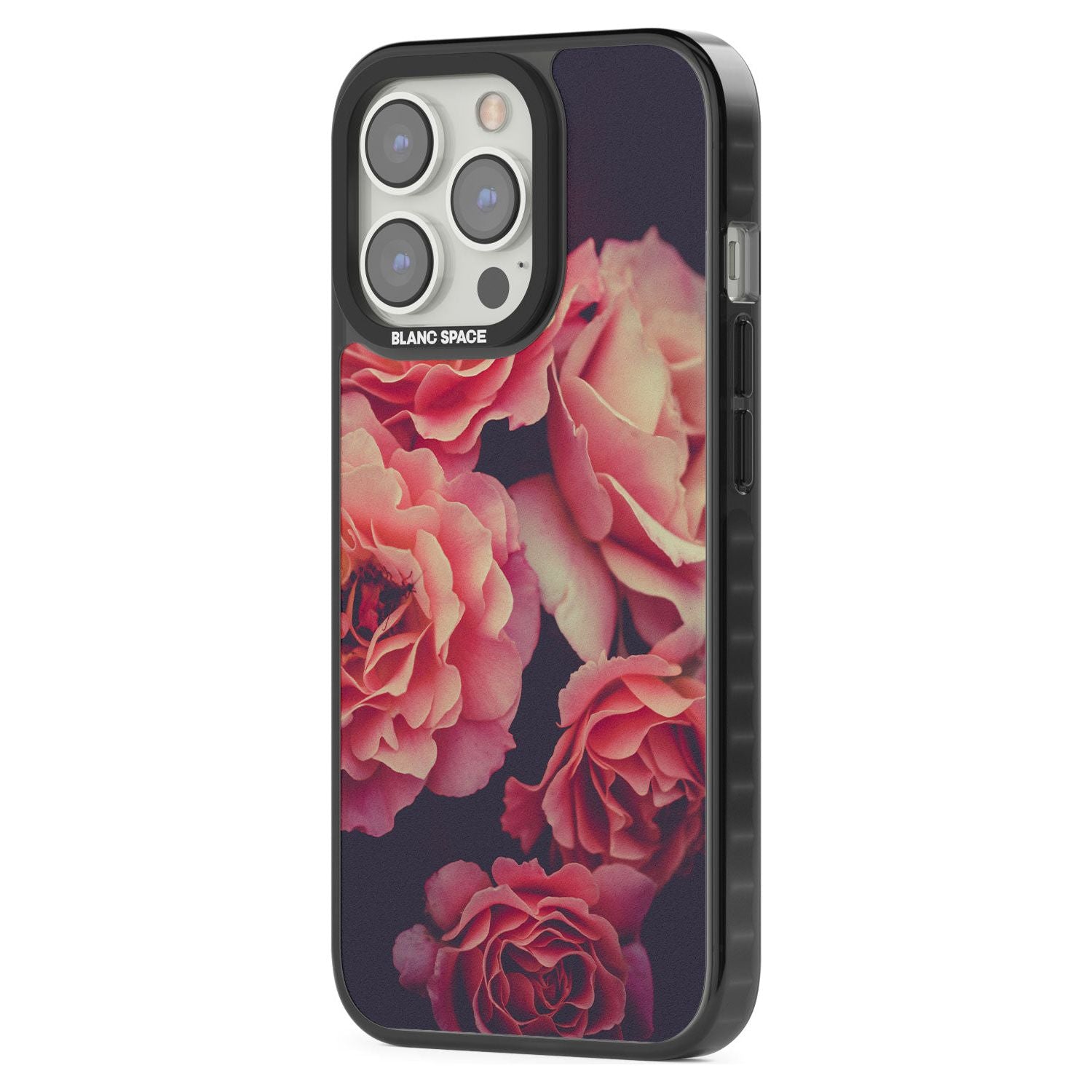 Midnight Rose Bloom