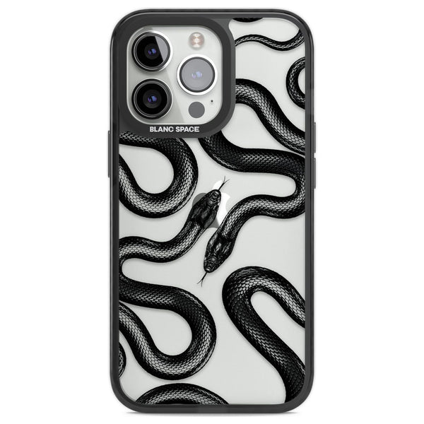 Black Kingsnake