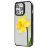 Daffodil Phone Case iPhone 15 Pro Max / Black Impact Case,iPhone 15 Plus / Black Impact Case,iPhone 15 Pro / Black Impact Case,iPhone 15 / Black Impact Case,iPhone 15 Pro Max / Impact Case,iPhone 15 Plus / Impact Case,iPhone 15 Pro / Impact Case,iPhone 15 / Impact Case,iPhone 15 Pro Max / Magsafe Black Impact Case,iPhone 15 Plus / Magsafe Black Impact Case,iPhone 15 Pro / Magsafe Black Impact Case,iPhone 15 / Magsafe Black Impact Case,iPhone 14 Pro Max / Black Impact Case,iPhone 14 Plus / Black Impact Case,