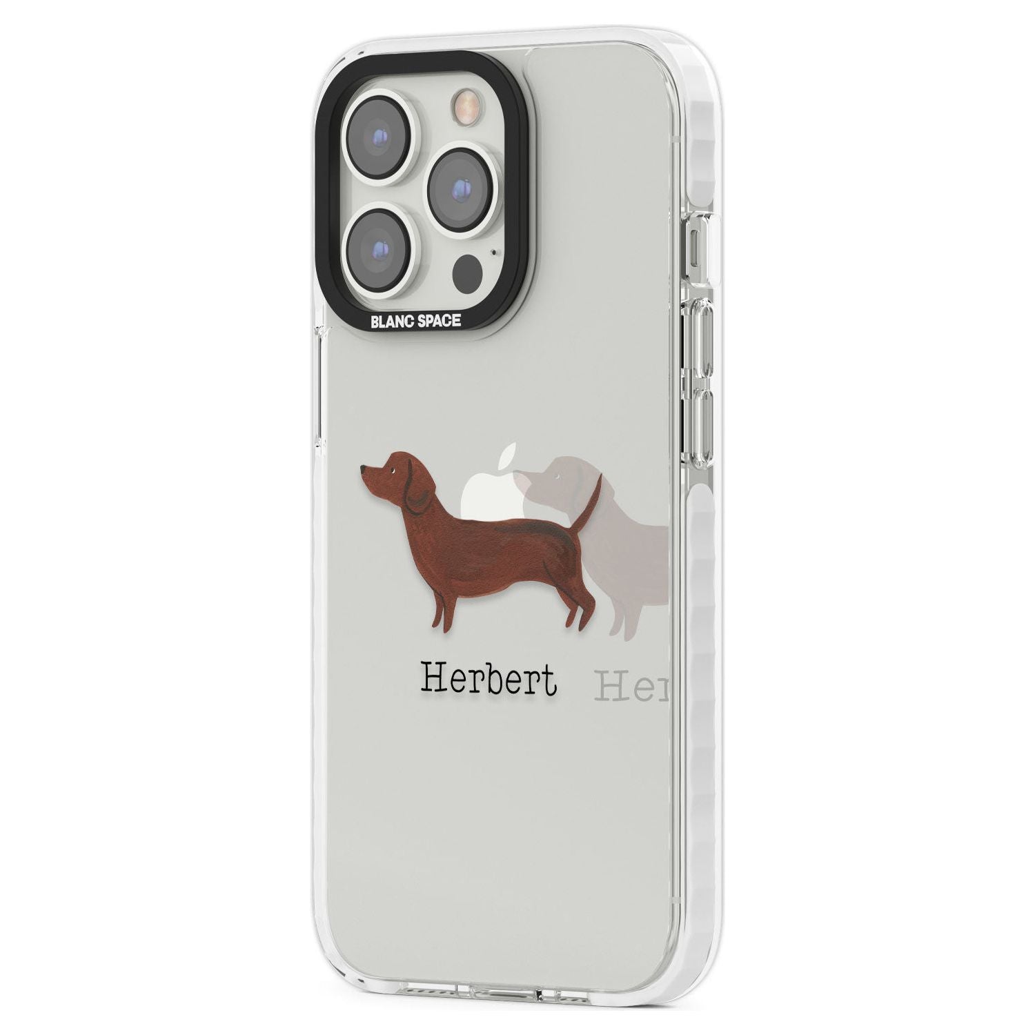 Personalised Hand Painted Sausage Dog