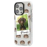 Personalised Dachshund, Brown - Dog Photo Custom Phone Case iPhone 15 Pro Max / Black Impact Case,iPhone 15 Plus / Black Impact Case,iPhone 15 Pro / Black Impact Case,iPhone 15 / Black Impact Case,iPhone 15 Pro Max / Impact Case,iPhone 15 Plus / Impact Case,iPhone 15 Pro / Impact Case,iPhone 15 / Impact Case,iPhone 15 Pro Max / Magsafe Black Impact Case,iPhone 15 Plus / Magsafe Black Impact Case,iPhone 15 Pro / Magsafe Black Impact Case,iPhone 15 / Magsafe Black Impact Case,iPhone 14 Pro Max / Black Impact 