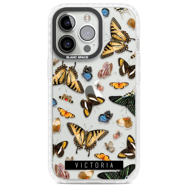 Personalised Butterfly Archive
