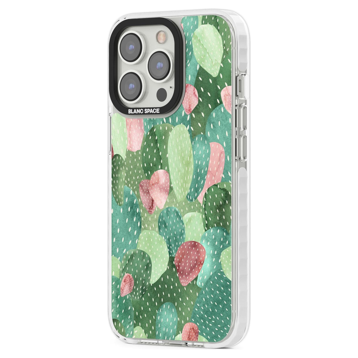 Colourful Cactus Mix Design