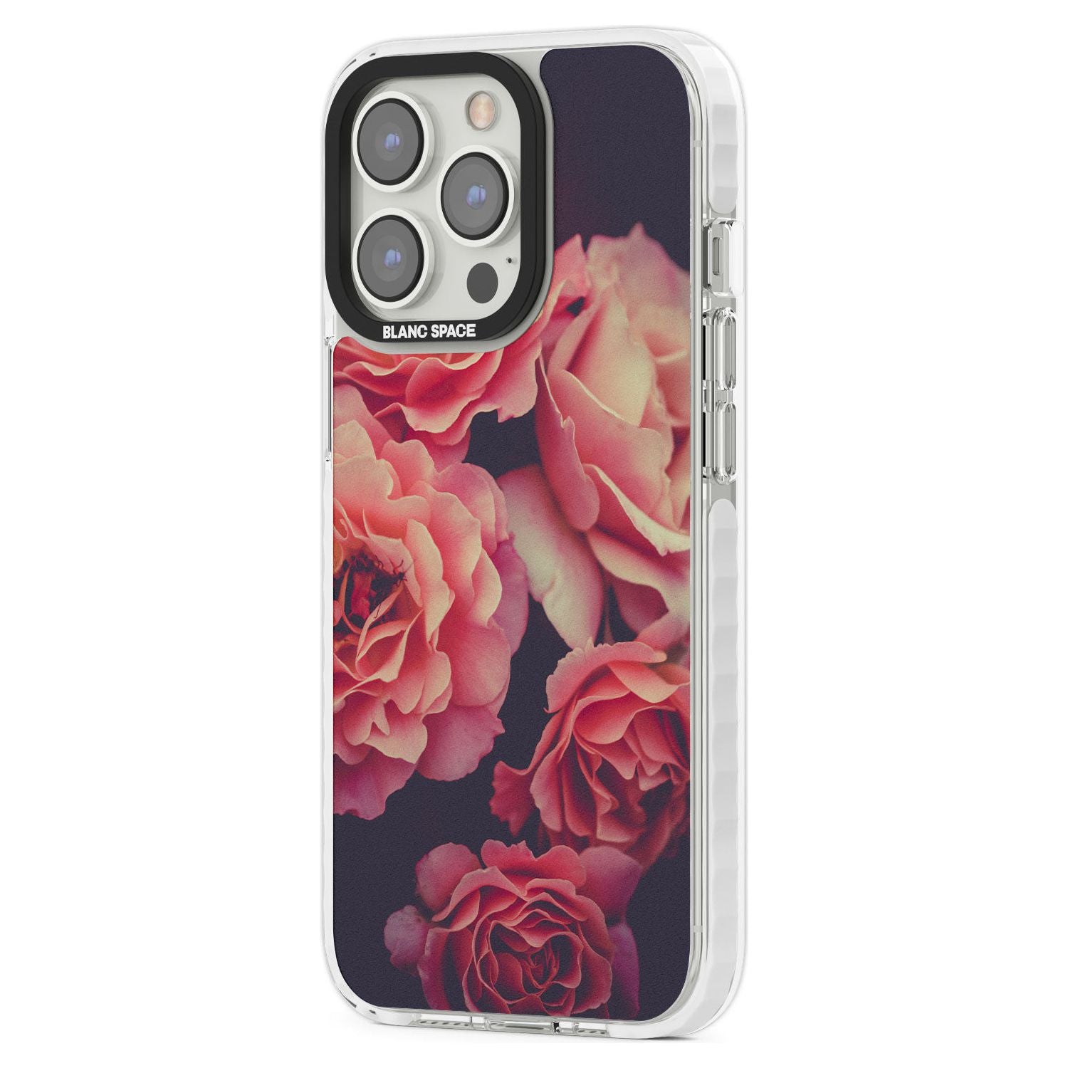 Midnight Rose Bloom