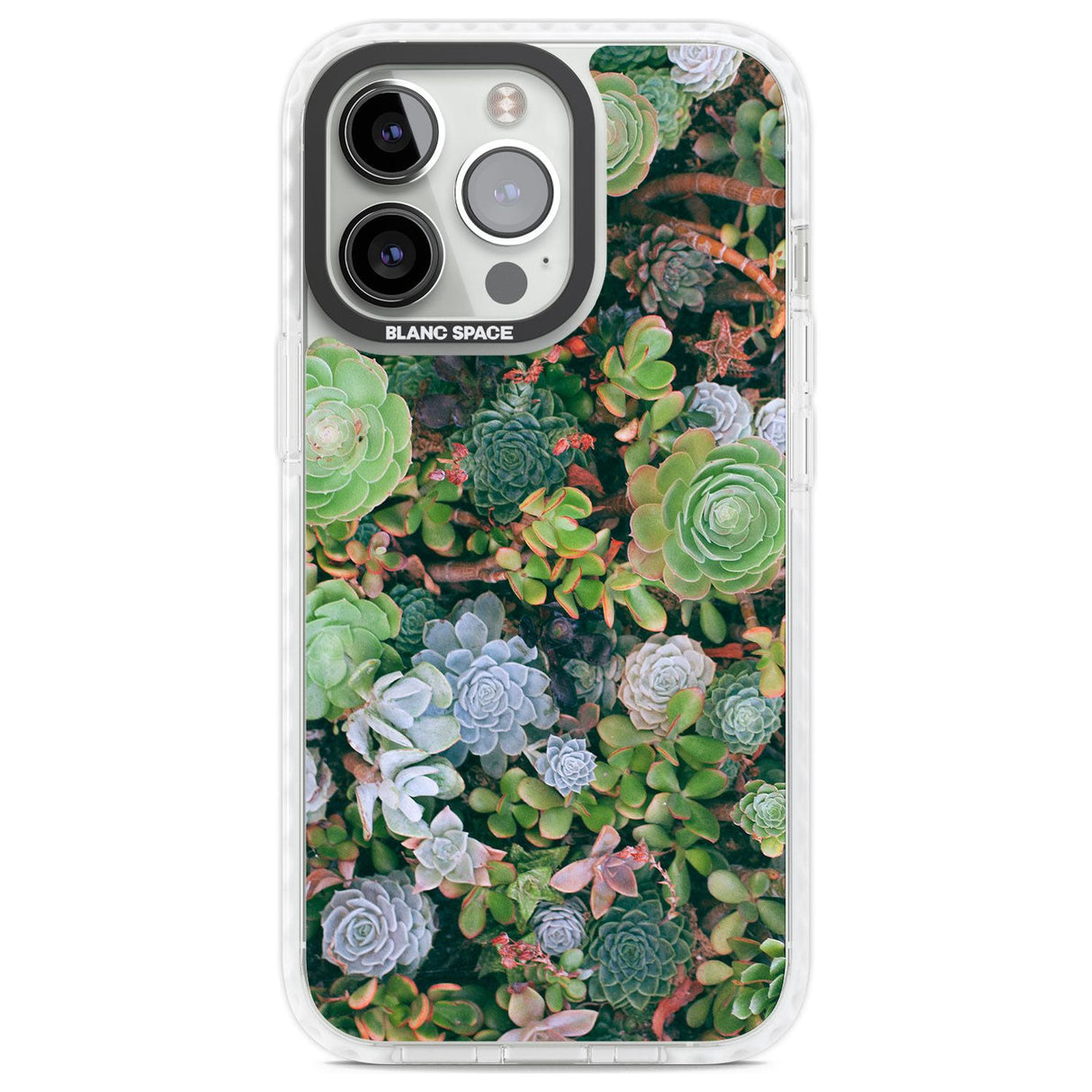 Colourful Succulents Phone Case iPhone 13 Pro / Impact Case,iPhone 14 Pro / Impact Case,iPhone 15 Pro Max / Impact Case,iPhone 15 Pro / Impact Case Blanc Space