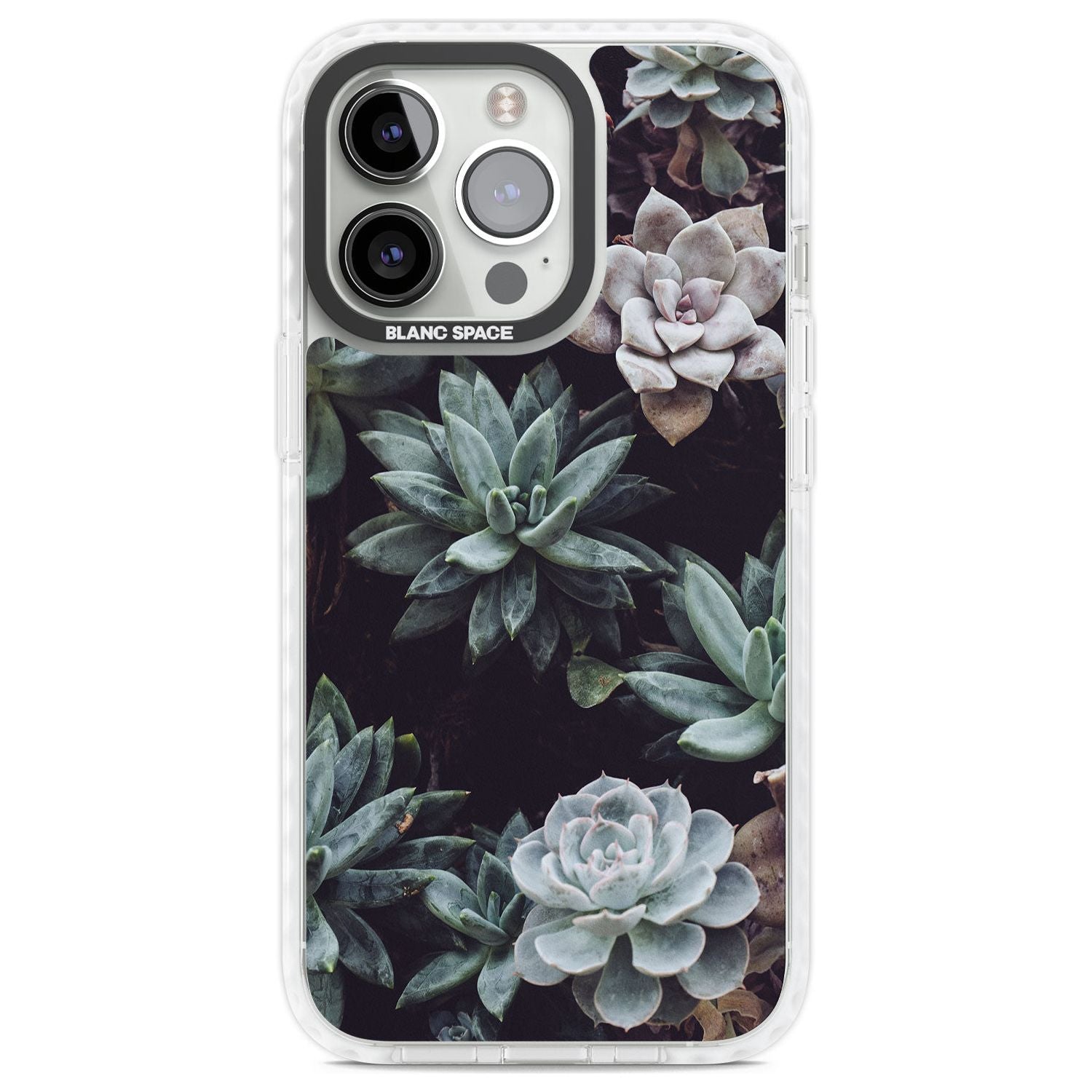 Mixed Succulents - Real Botanical Photographs Phone Case iPhone 13 Pro / Impact Case,iPhone 14 Pro / Impact Case,iPhone 15 Pro Max / Impact Case,iPhone 15 Pro / Impact Case Blanc Space
