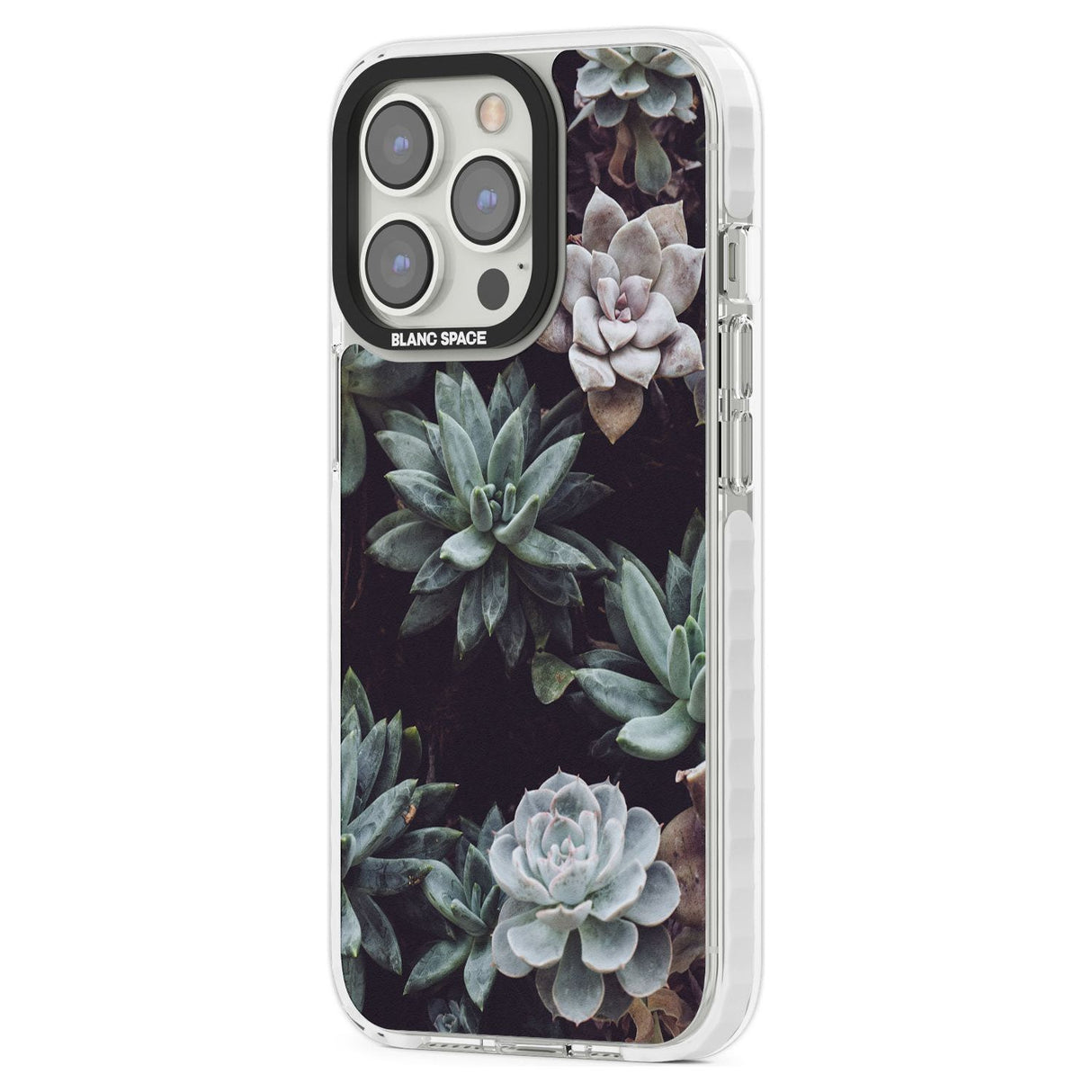 Mixed Succulents - Real Botanical Photographs Phone Case iPhone 15 Pro Max / Black Impact Case,iPhone 15 Plus / Black Impact Case,iPhone 15 Pro / Black Impact Case,iPhone 15 / Black Impact Case,iPhone 15 Pro Max / Impact Case,iPhone 15 Plus / Impact Case,iPhone 15 Pro / Impact Case,iPhone 15 / Impact Case,iPhone 15 Pro Max / Magsafe Black Impact Case,iPhone 15 Plus / Magsafe Black Impact Case,iPhone 15 Pro / Magsafe Black Impact Case,iPhone 15 / Magsafe Black Impact Case,iPhone 14 Pro Max / Black Impact Cas