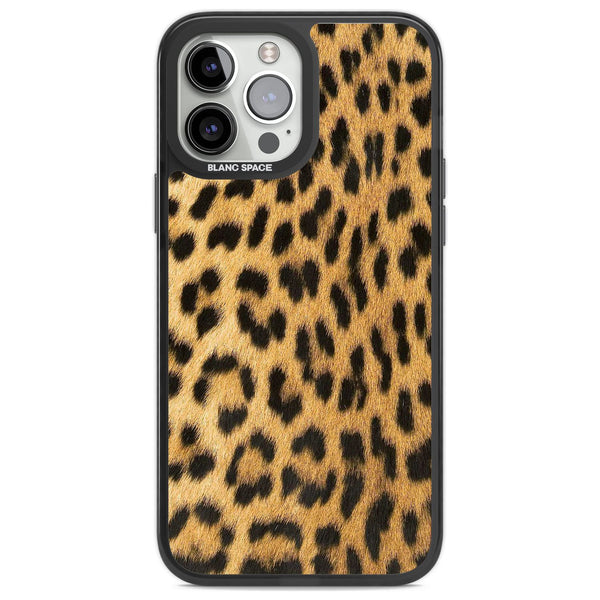 Savannah Leopard