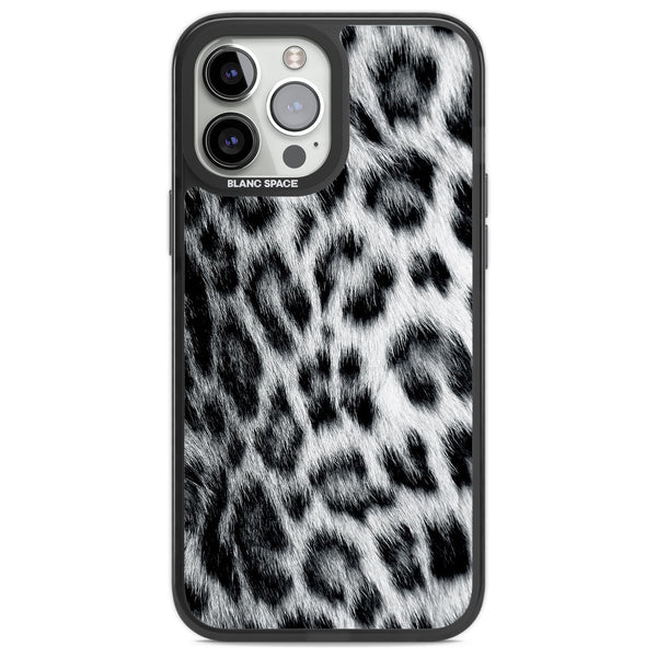 Snow Leopard