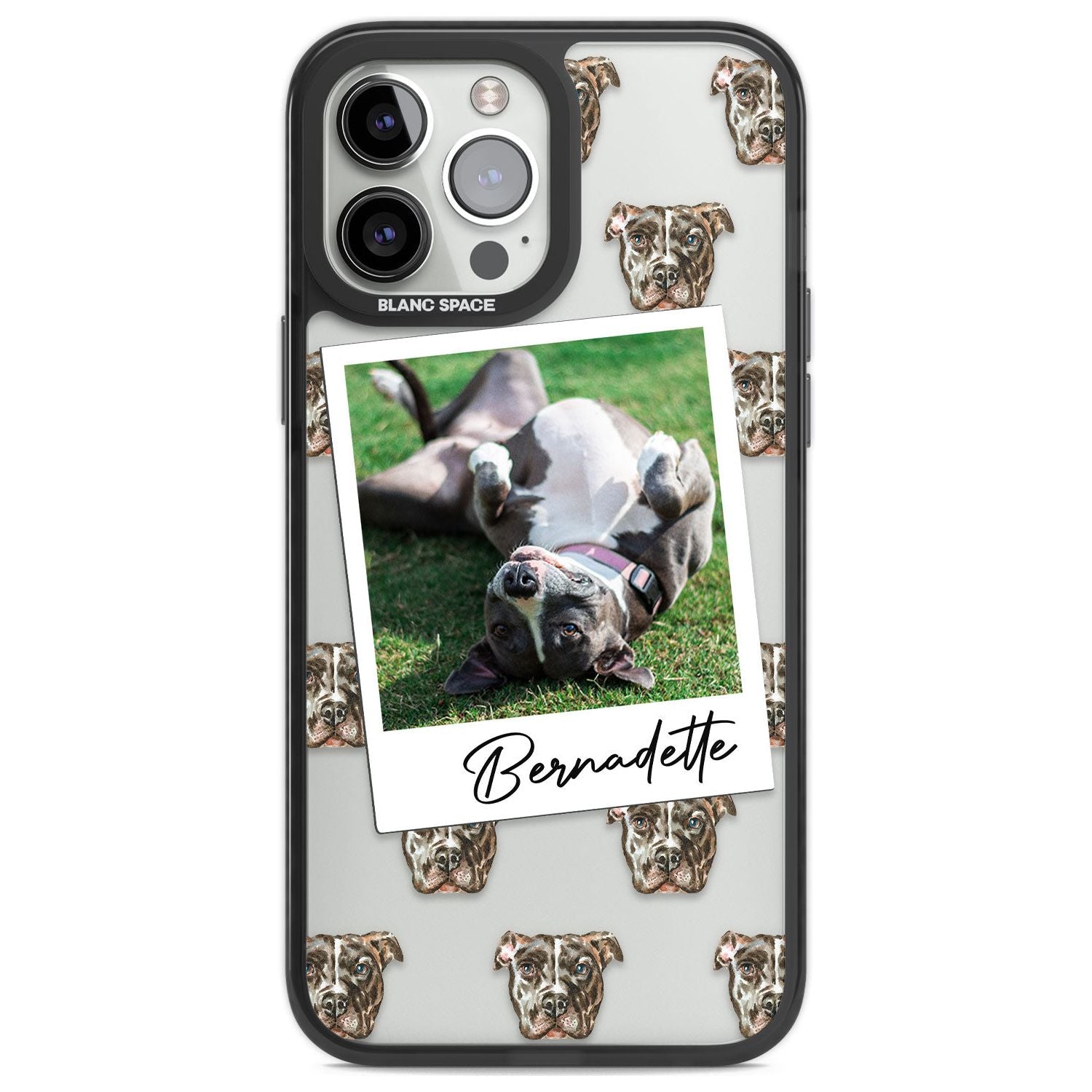 Personalised Staffordshire Bull Terrier - Dog Photo