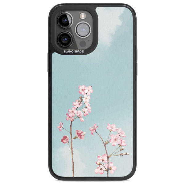 Blossom Flower Sky