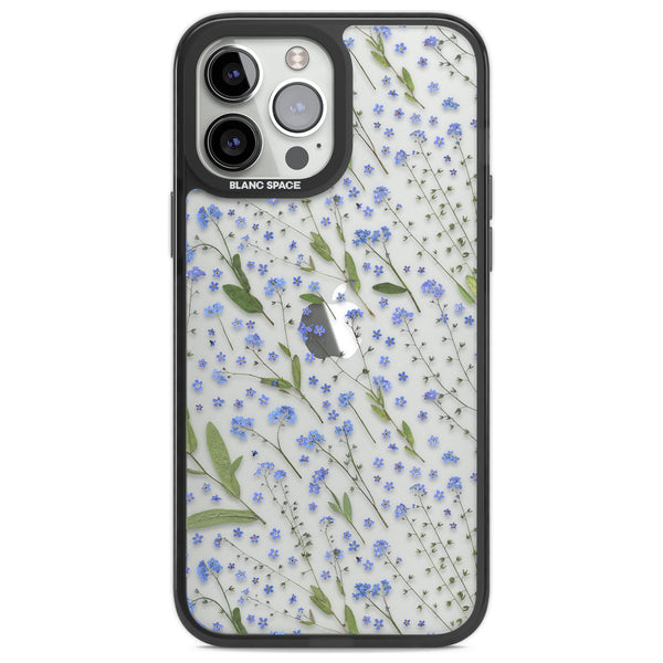 Blue Meadow