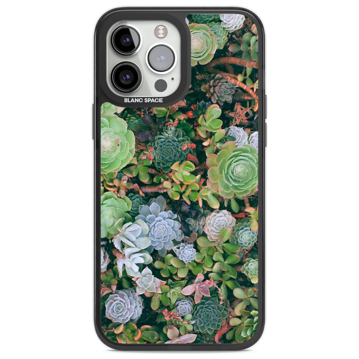 Colourful Succulents Phone Case iPhone 13 Pro Max / Black Impact Case,iPhone 14 Pro Max / Black Impact Case Blanc Space