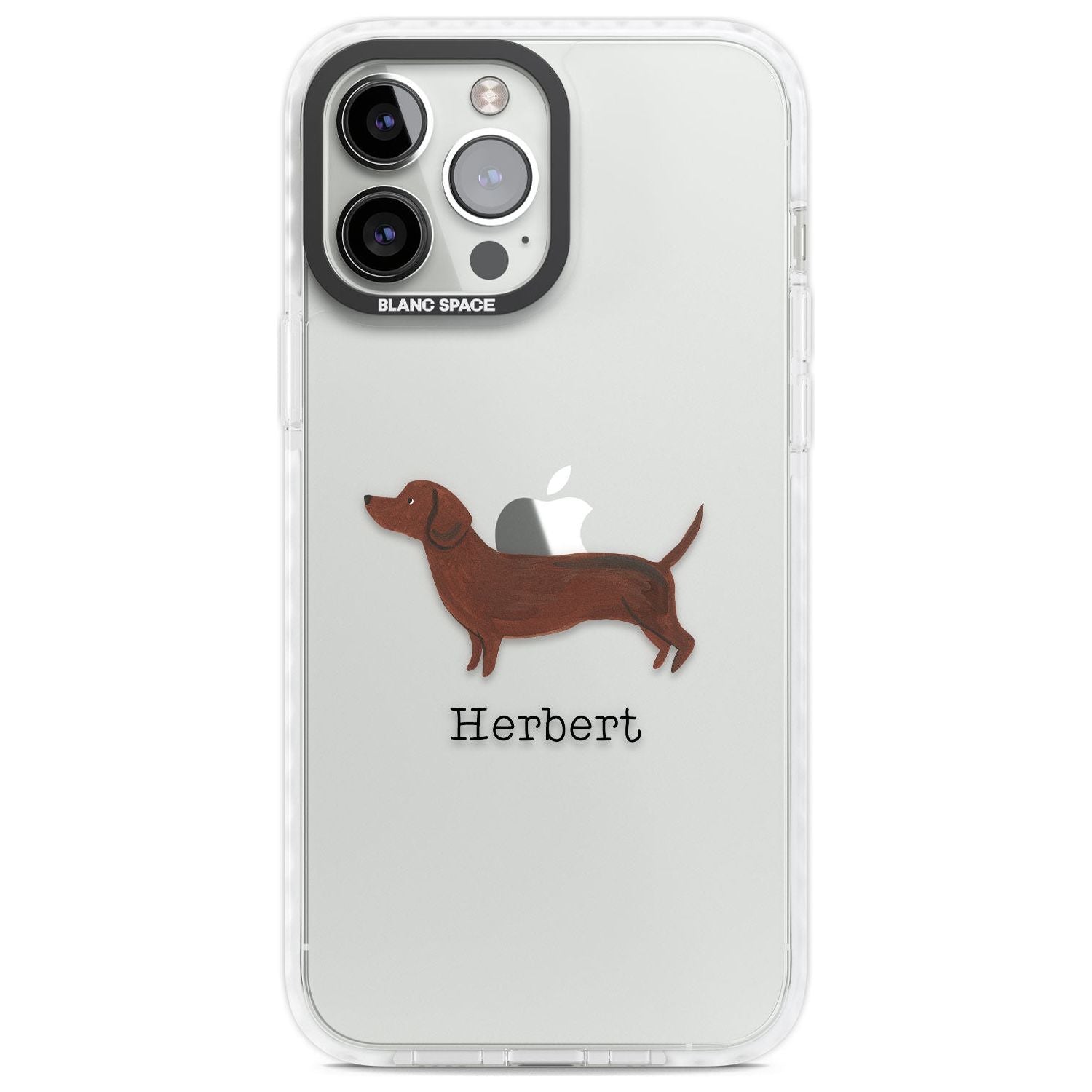 Personalised Hand Painted Sausage Dog
