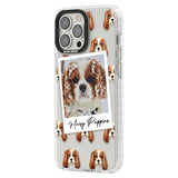 Personalised Cavalier King Charles - Dog Photo Custom Phone Case iPhone 15 Pro Max / Black Impact Case,iPhone 15 Plus / Black Impact Case,iPhone 15 Pro / Black Impact Case,iPhone 15 / Black Impact Case,iPhone 15 Pro Max / Impact Case,iPhone 15 Plus / Impact Case,iPhone 15 Pro / Impact Case,iPhone 15 / Impact Case,iPhone 15 Pro Max / Magsafe Black Impact Case,iPhone 15 Plus / Magsafe Black Impact Case,iPhone 15 Pro / Magsafe Black Impact Case,iPhone 15 / Magsafe Black Impact Case,iPhone 14 Pro Max / Black Im