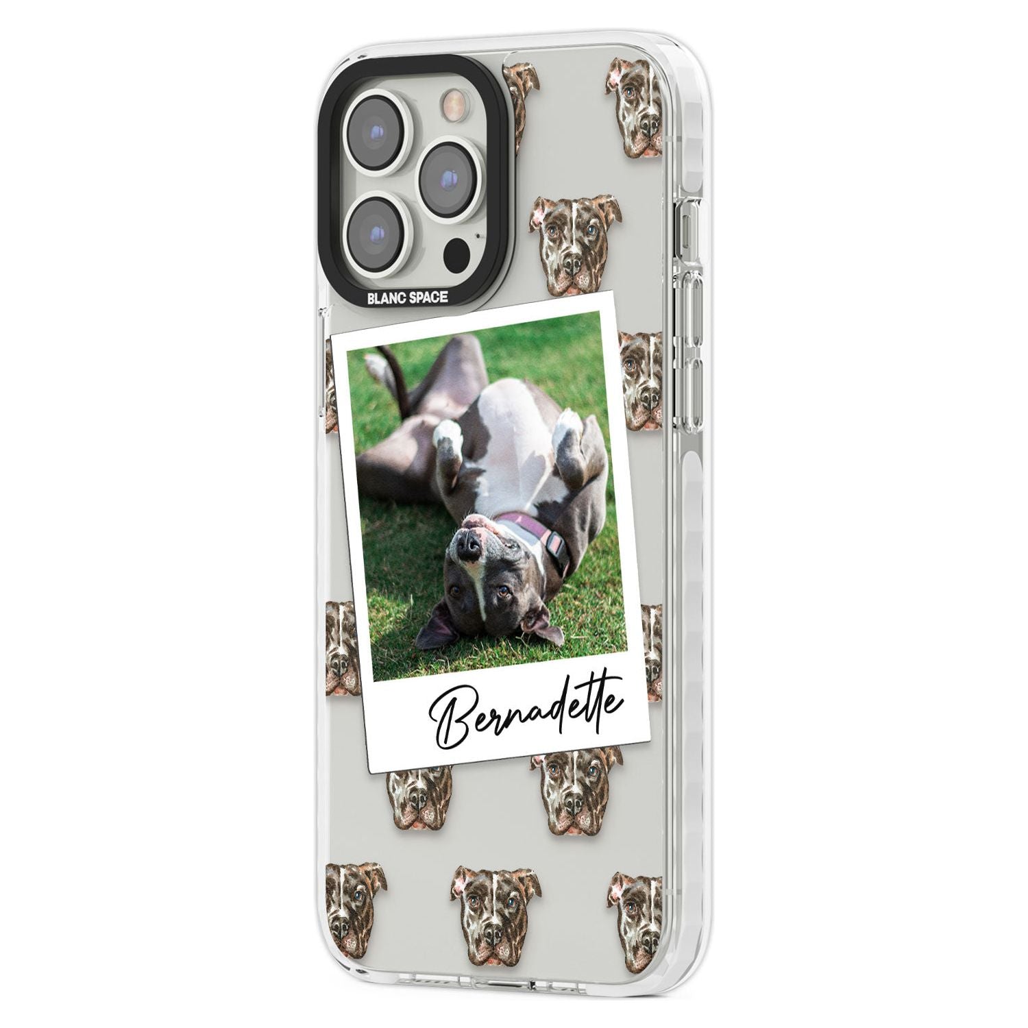 Personalised Staffordshire Bull Terrier - Dog Photo