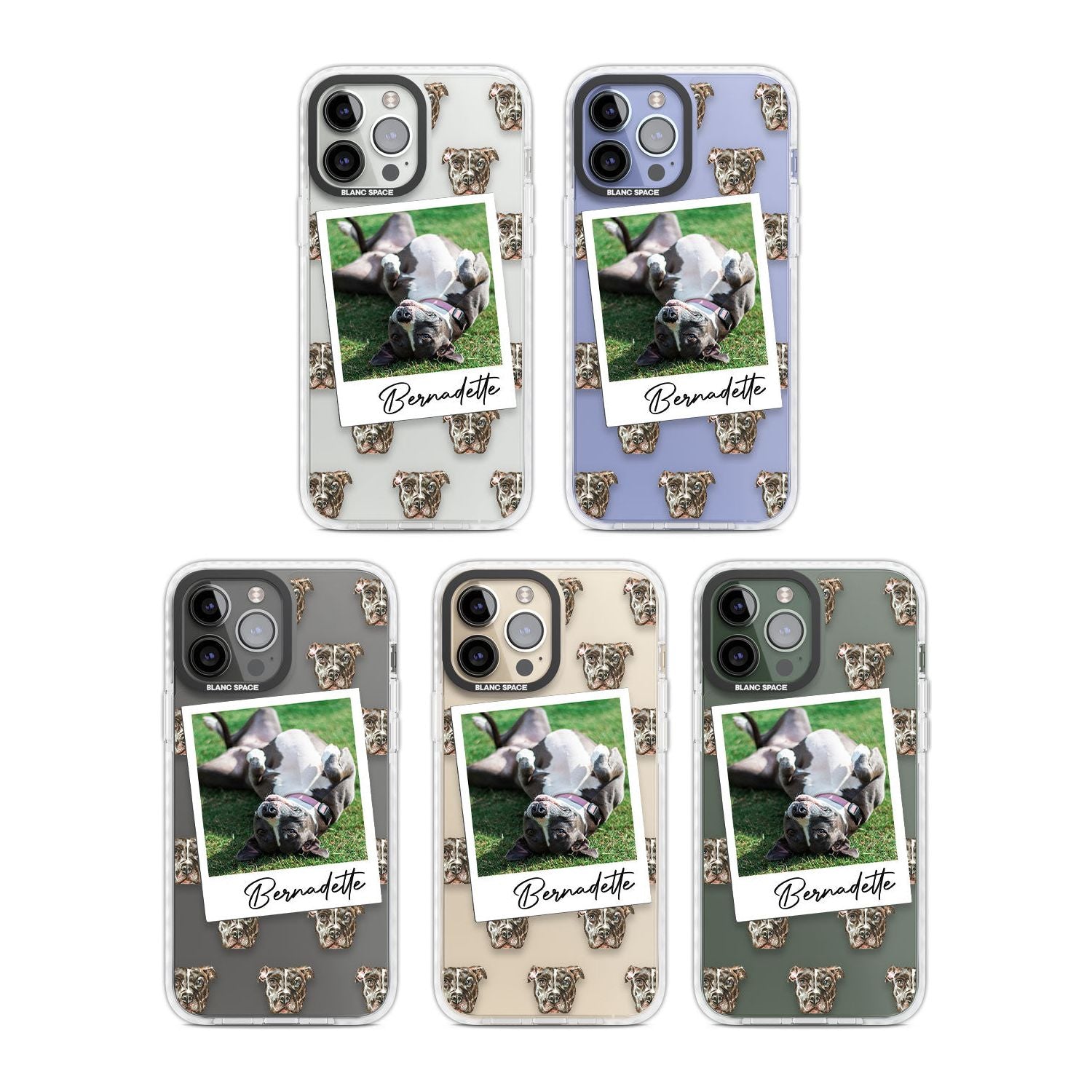 Personalised Staffordshire Bull Terrier - Dog Photo