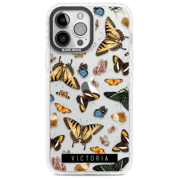 Personalised Butterfly Archive