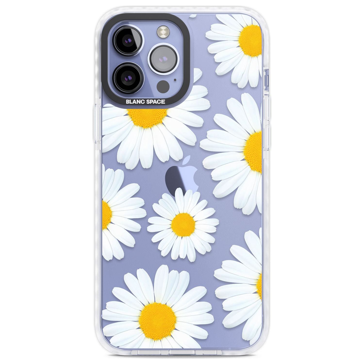 Summer Daisy