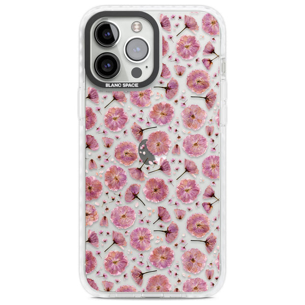 Pink Florals & Blossom