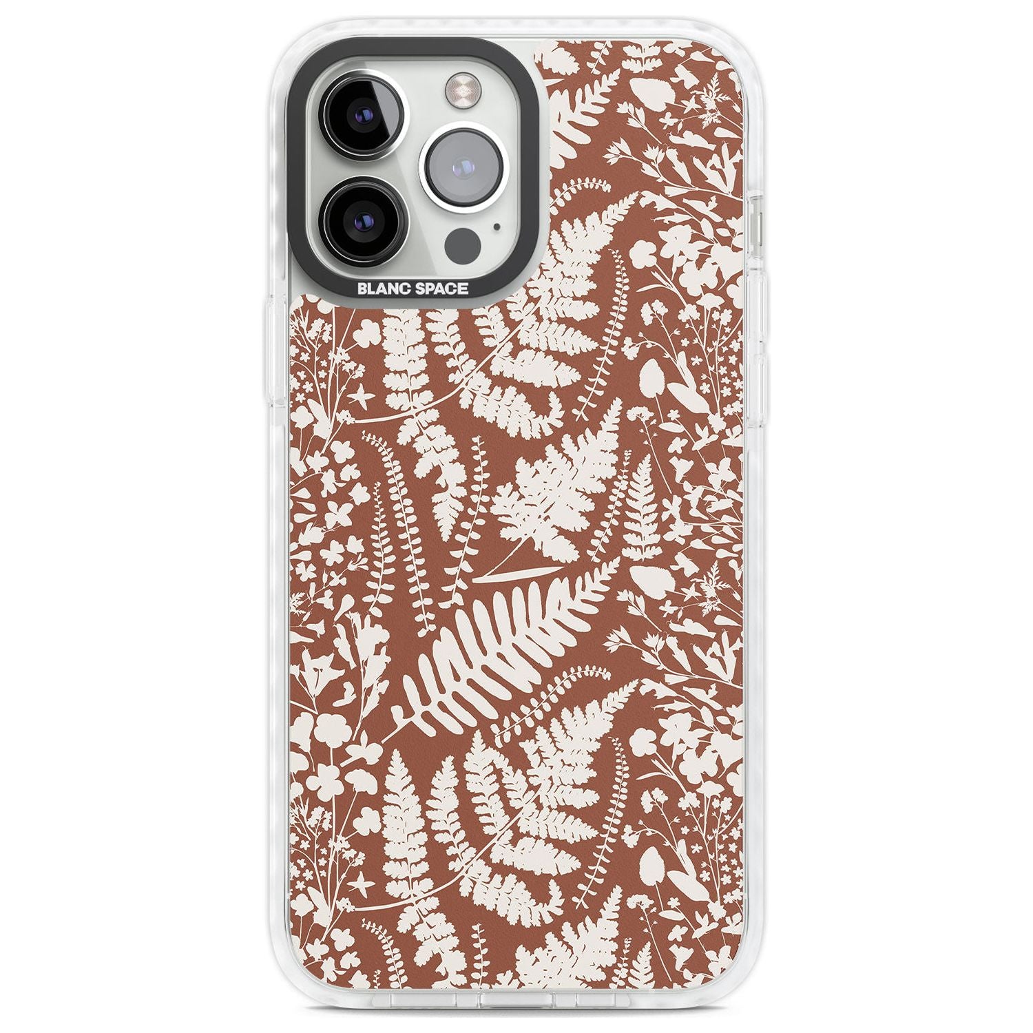 Wildflowers and Ferns on Terracotta